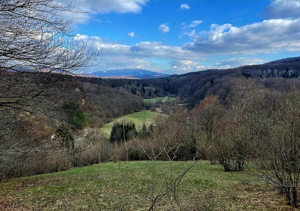 Villa Andjelija Plitvička Jezera 外观 照片